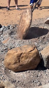 55K views · 458 reactions | We got lucky one more time to witness a...