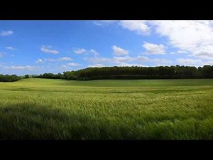 Relaxing Midwest Morning Birds Chirping on a Farm