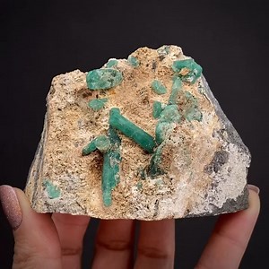 Beryl var. Emerald, on Calcite -Colombia More info: https://www.irocks.com/minerals/specimen/50710 Translucent with a hint of gemminess, the largest crystals of emerald here reach 3.5 cm and they are quite lustrous. Surprisingly, they also have a red fluorescence, along with the brilliant white fluorescence of the Calcite. In a side view of the piece, you can see how the Emeralds grow in the Calcite seams within the fractures of the matrix rock. This is a very nice, highly representative and app