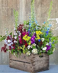 Paint by Numbers for Adults Framed - Painting by Numbers for Adults Garden Pot