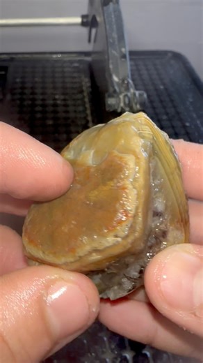 7.7K views · 147 reactions | Check out this awesome Lake Superior agate sent in by one of you guys! #agate #LSA #lakesuperior #amethyst | Kaines Crystals | Facebook