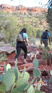 Thinking about an outdoor Sedona adventure? All we ask from you is to be thoughtful when in nature! Stick to the trails and always hike/camp on durable surfaces. 🥾🚶‍♂️🚶‍♀️ We present to you the second principle of #LeaveNoTrace: Travel and camp on durable surfaces. Things to consider: - Walk and ride on existing trails or durable surfaces to protect trailside plants. - Durable surfaces include maintained trails, designated campsites, rock, gravel, sand or snow. Get familiar with the Leave No 