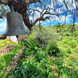 🌳🍀🌿 Comunidad de Guatimala, Huanusco Zacatecas. 🐝🦋🌳 | Huanusco Zacatecas