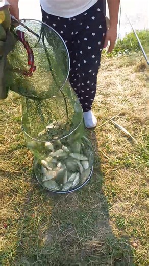 Balta Cuscra1 & Cuscra2 on Reels