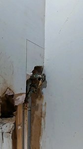 1.9M views · 2.7K reactions | Repiping leaking valves to washer  This a temporary repair, the homeowner is slowly renovating this 1964 home. The hot water valve to the washer sprang a leak in their laundry room. The entire room will be completely remodeled soon, I’m just installing temporary hot and cold valves for now #plumbing #plumber #diy #fyp #reels #homerepair #plumbingrepair #foryou #plomero #handyman | The Plumberlorian | Facebook