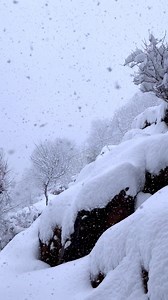 2.3K views · 80 reactions | Beautiful Snowfall | Nature Explore | Facebook