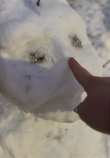 #stlouis #stl #snowday #snow2025