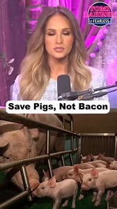 Tomi Lahren railing against the provision in the farm bill that would block Prop 12 in states like California.Rep. Brian Fitzpatrick had an amendment that would strip out the Save Our Bacon Act but it won’t get a vote. Fitzpatrick told me last night he won’t vote for the farm bill