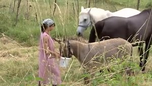 Fucked In The Farm