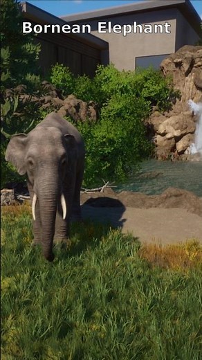 Planet Zoo Asia Animal Pack All Animals | #shorts