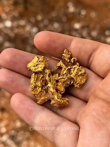 55K views · 1.3K reactions | This natural gold nugget was just pulled from the river, and the detail is mind-blowing. Finding a specimen this size and purity is rare! The big question: If you found this, would you SELL it or KEEP it in your collection? Let me know in the comments! #goldnugget #goldhunting #huge | Christopher Santing | Facebook