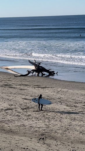 Beautiful fall morning. #surfers #surfing #surf #westportwa #experiencewestport #graysharborliving #westhaven #statepark #westhavenstatepark #beach #fall #cold #ocean | Jodee Orton