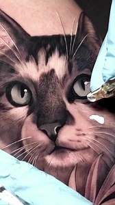 The Meow Meow tattoo is all because of love ❤️ #cutecat #meowmeow #CatLovers | Crush on Cats