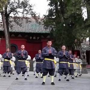 4.6K views · 124 reactions | Shaolin Qixing Quan - 7 star fist (七星拳) | Shaolin Worldwide | Facebook