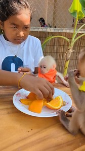 kid give fruit to Liza and Lion #monkeys | Monkey vdo