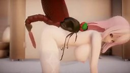 Lilia Insect Breeding