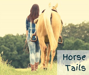 Why Do Horses Have Tails?