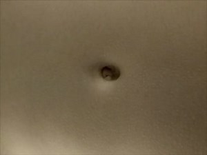 Anatomy lesson (Lezione di anatomia)