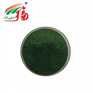 [Hot Item] Algal Natural Chlorella Powder Marine Extract 50% Protein