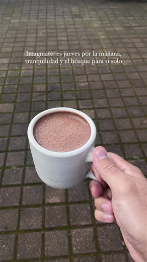 Deja de imaginarlo y regálate la experiencia que mereces en el bosque de Mazamitla. 🌳 Estamos listos para recibirte en nuestras hermosas cabañas y convertir tu escape de la ciudad y la rutina en una aventura inolvidable. 🏡🌲🌟 ¡Haz tu reservación aquí! 🌟 👉 reserva.monteverde.com.mx/es . . . . . . #bosque #cabaña #jaliscoesmexico #visitmexico #pueblosmagicos #vacacionesenfamilia #mazamitla #hotelenelbosque #vacacionesenelbosque #visitajalisco #hotelcabaña #pueblomagico #mazamitlajalisco | Hot