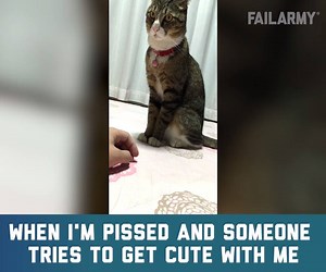 Get outta my face! | FailArmy