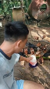 12K views · 395 reactions | Wala ka likakay sa ulan hatagan daan ug pang depensa #advanceprotection #prevention #gamotsasisiw #tipsoftheday | Rovic Mique | Facebook