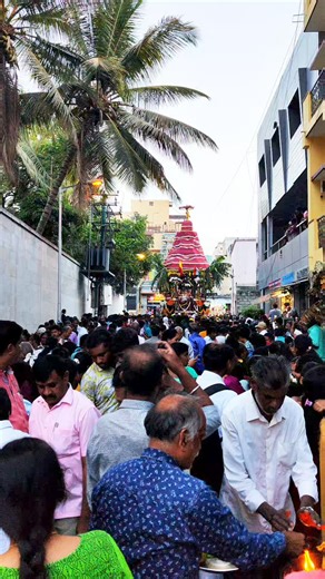 13 reactions | Bengaluru Someswara temple car festival 2024 #ulsoor #carfestival #shiva #beautiful | South Tube | Facebook