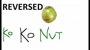 Coconut Song Lyrics Smokey Mountain