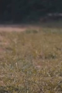 May Edochie get featured in a new movie along side great Actors and actresses. A movie by @omonioboli … A must watch movie The Uprising Is Near! The countdown has begun #TheUprising #WivesOnStrike3 it's going to be epic! Cast @omonioboli @hildadokubo @uchejumbo @chiomakpotha @ufuomamcdermott @kie_kie_ @okeybakassi @juliusagwu1 @officialsegunarinze @realsanidanja @chief_femibranch @kaluikeagwu @emekaokoye14 @tomiwategbe @folaremy Producer: @tomesadeoye and @omonioboli Director: @omonioboli Exec P