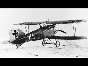 General History: Albatros D.III, The Workhorse