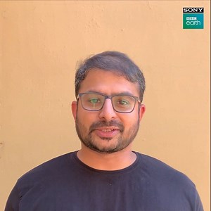 8.2K views · 72 reactions | Primates are one of the most intriguing species in the world - but what goes behind filming them? Filmmaker Kalyan Varma tells you about his experience when it comes to getting them on camera. Take a look! #Primates #FeelAlive | Sony BBC Earth | Facebook