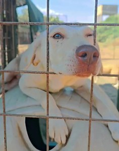 35K views · 723 reactions | Il nostro autunno e' ancora estate ...a...