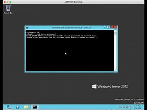 DSRM password reset