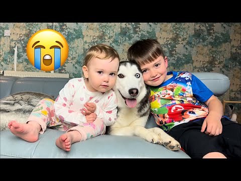 Adorable Baby Pretending To Be A Husky Is The Cutest Thing You Will See!😂💖