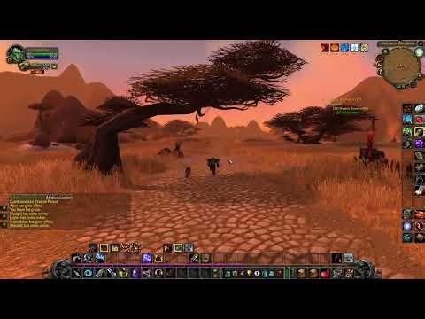 Washte Pawne (WOW classic quest)