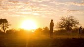 DOLLY shot of a child watching over herd of goats in the Himba...