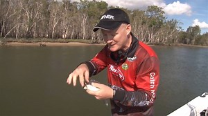 Berkley Powerbait Twitchtail Minnow Lo trovi qui → bit.ly/2UkTDdY | BassStoreItaly.com