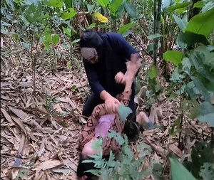 A single mother went into the forest to cut down trees and was raped by a robber | Agh 12