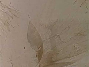 Mothlight (1963), dir. Stan Brakhage