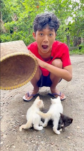 Sulap Anak Kucing Ajaib Lucu dan Kocak 🪄🐈 #shorts