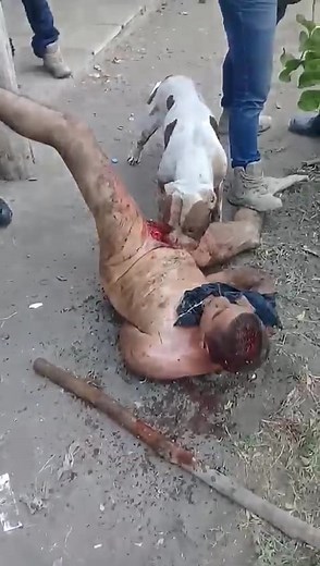 The man whose manhood was eating up by a dog while he was alive