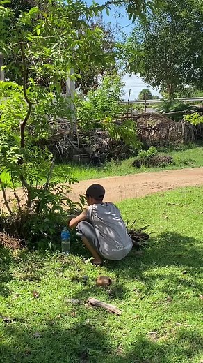 Bewbew នៅលើ TikTok
