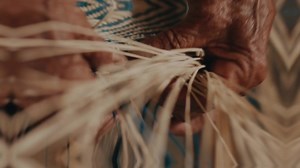 ¡ASÍ SE HACE MANABÍ! ✊ La Prefectura trabajando con justicia y equidad por el desarrollo turístico. | Eclipse Digital Informativo | Facebook