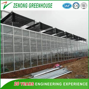[Hot Item] Tip Roof Multi-Span Glass Greenhouse for Agriculture/Aquaculture