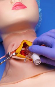 Health is Wealth on Reels