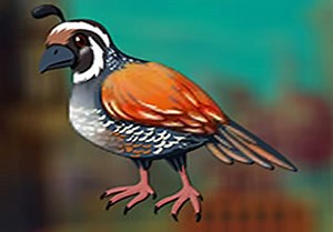 Myna Bird Escape - Escape Fan