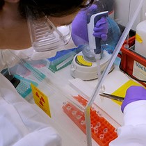 Determining Binding Affinity of | JoVE Journal
