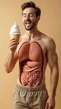 How the Human Digestive System Works | Full Process Explained Step-by-Step"