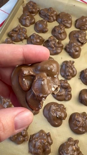 Chocolate Covered Cashew Clusters are made by blending three types of common chocolate to create a smooth, homemade candy. We find the easiest way to melt chocolate and make this candy is using the slow cooker. #homemadecandy #cashews #chocolatecandy #treattoshare | Plowing Through Life