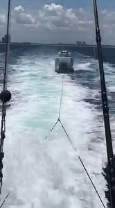 22K views · 18 reactions | Freeman Boatworks on Reels | Facebook